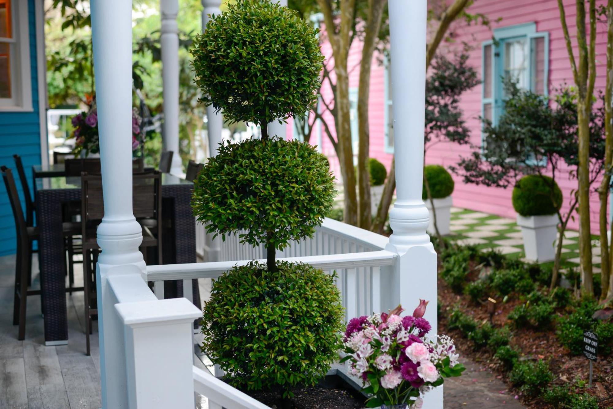 4 Bedroom - Sleeps 8! Celebrity Villa Next To Frenchman St New Orleans Dış mekan fotoğraf